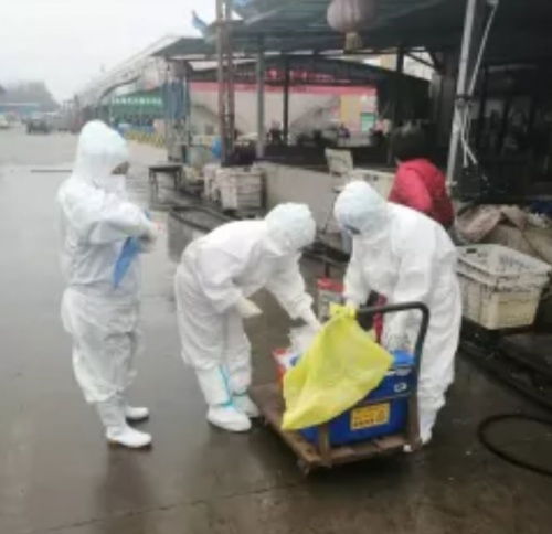 開封宏進農(nóng)副產(chǎn)品國際物流中心 穩(wěn)市場 促民生 保供應(yīng)