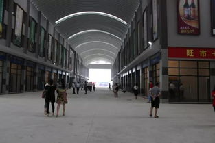 小池 國際 農(nóng)產(chǎn)品物流港打造 新九黃干調(diào)副食大市場(chǎng)