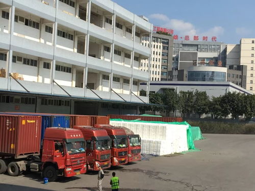 力天國際物流給您拜年啦 感謝社會各界領導 客戶及朋友們的厚愛與支持,堅持物流產(chǎn)品經(jīng)營理念繼續(xù)前行